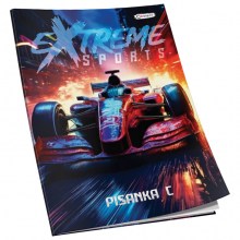Obrazac školski pisanka "C" za 2 i 3razred Premium 