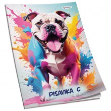Obrazac školski pisanka &#34;C&#34; za 2 i 3razred Premium 